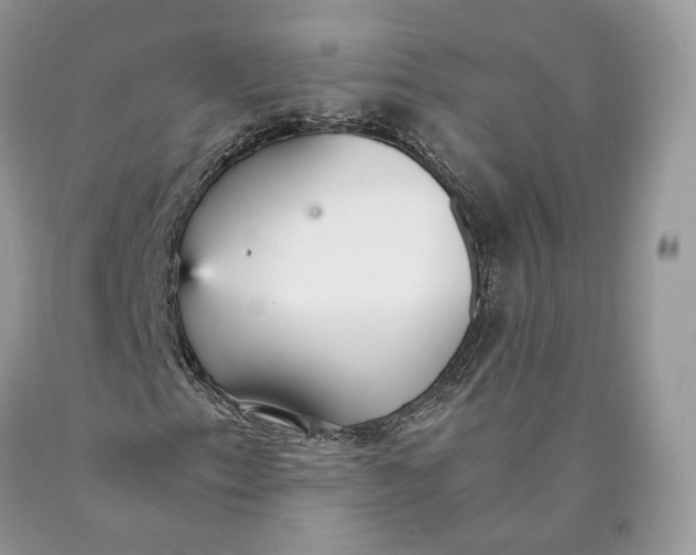 X0000089931153200707201834