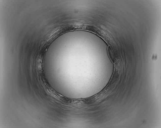 X0000089931154200707201834