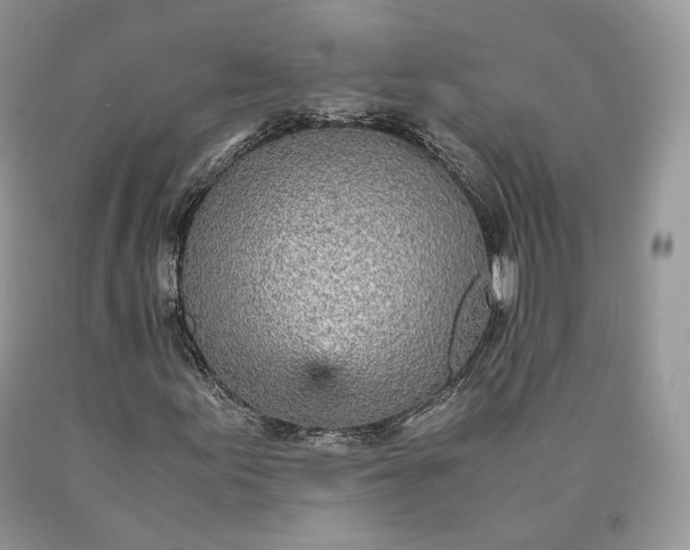 X0000089931155200707201834