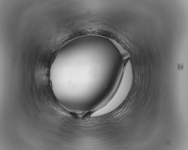 X0000089931156200707201834