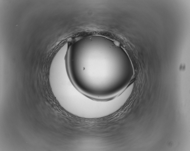 X0000089931157200707201834