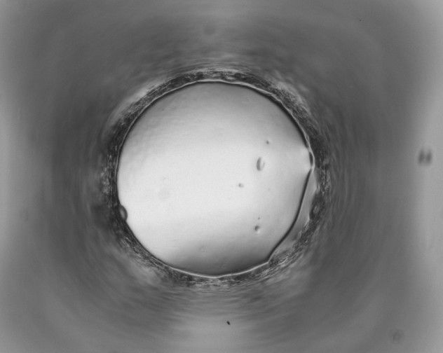 X0000089931159200707201834