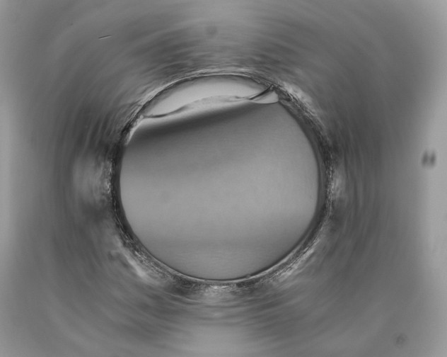 X0000089931161200707201834