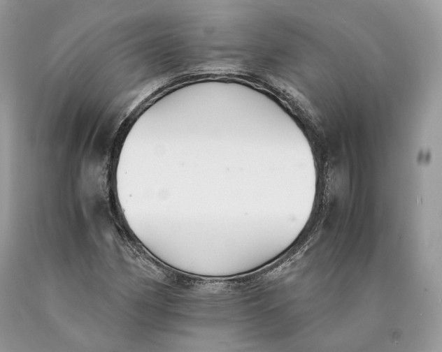 X0000089931162200707201834