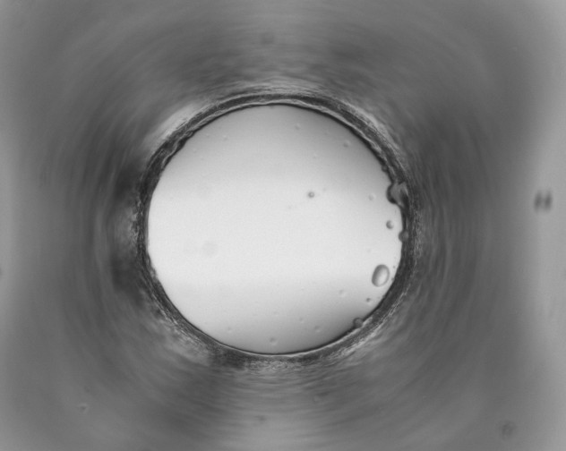 X0000089931163200707201834