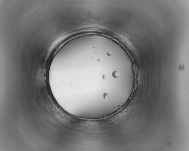 X0000089931164200707201834