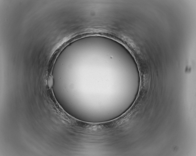 X0000089931165200707201834