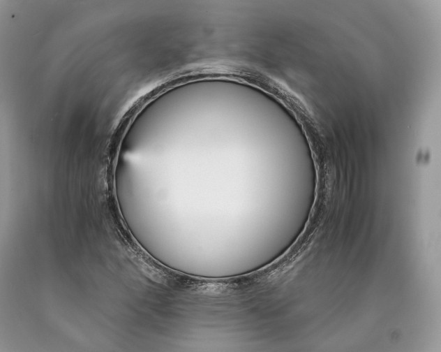 X0000089931166200707201834