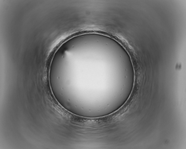 X0000089931167200707201834