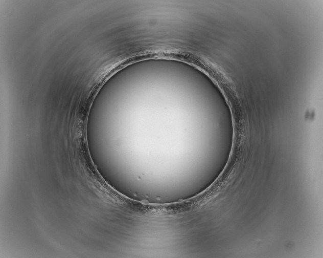 X0000089931169200707201834