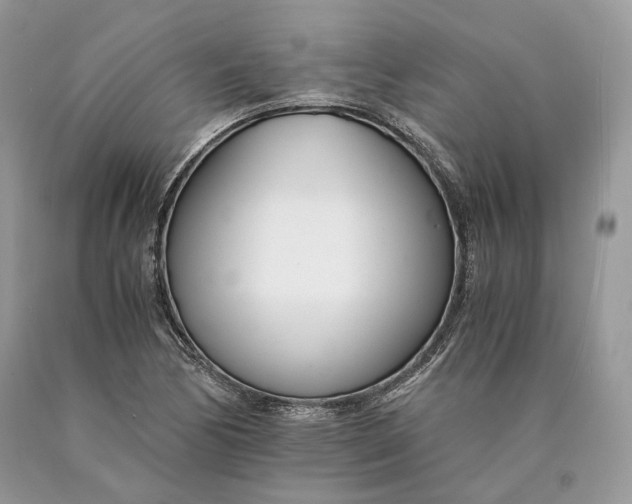 X0000089931170200707201834