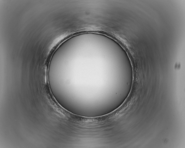 X0000089931171200707201834