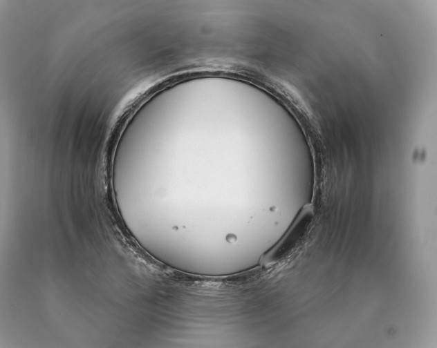 X0000089931172200707201834