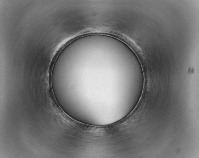 X0000089931174200707201834