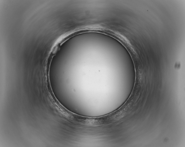 X0000089931176200707201834