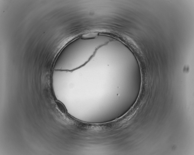 X0000089931177200707201834