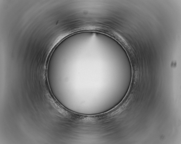 X0000089931178200707201834