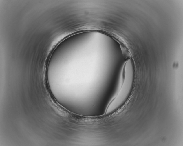 X0000089931179200707201834