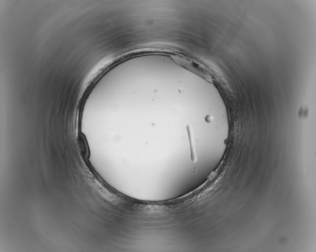 X0000089931180200707201834