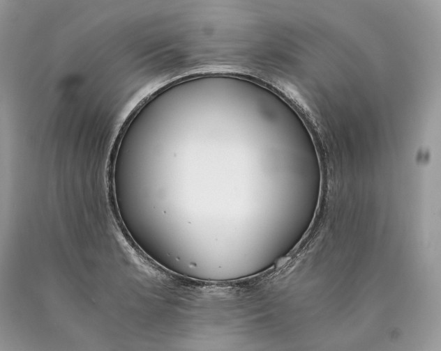 X0000089931181200707201834