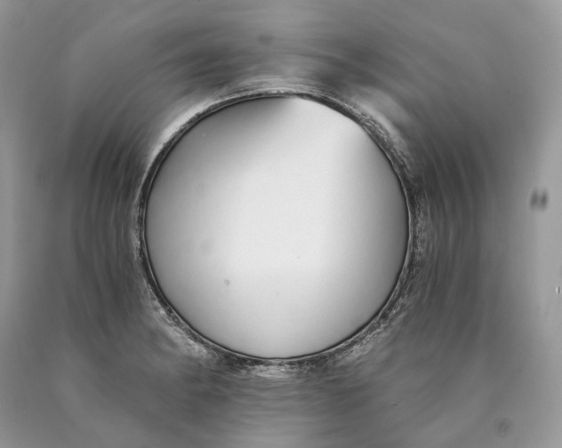 X0000089931182200707201834