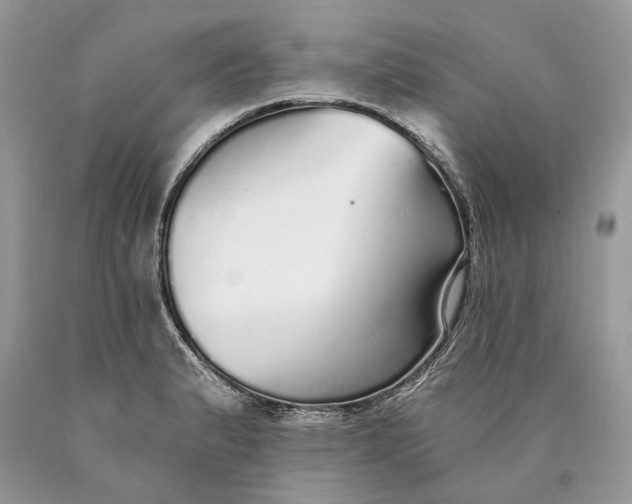 X0000089931183200707201833