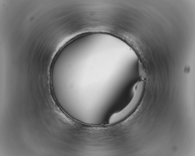 X0000089931184200707201833