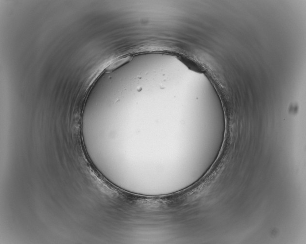 X0000089931185200707201833