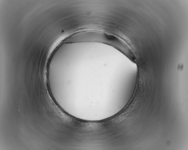 X0000089931188200707201833