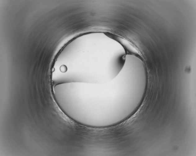 X0000089931192200707201833