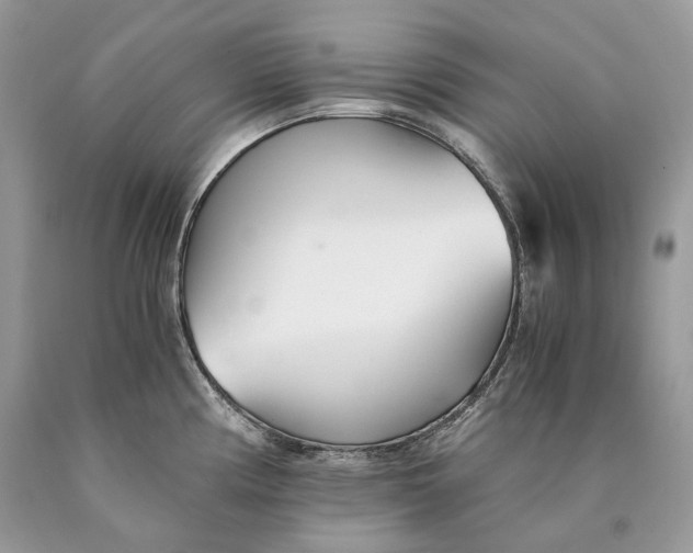 X0000089931194200707201833