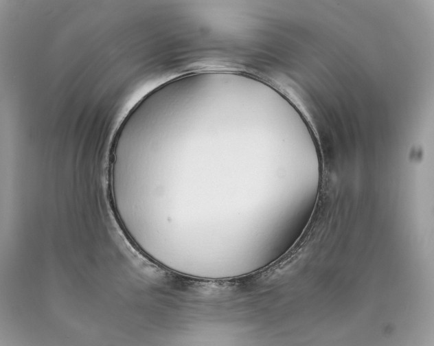 X0000089931195200707201833