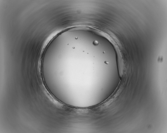 X0000089931196200707201833