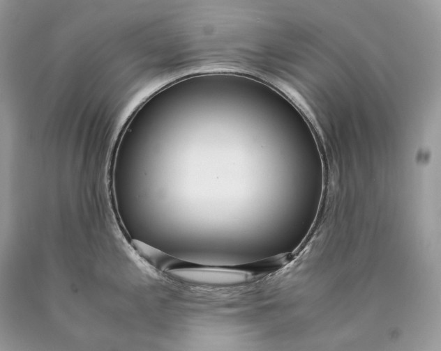 X0000089931197200707201833