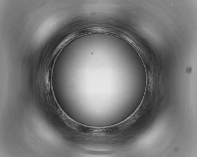 X0000089931198200707201833