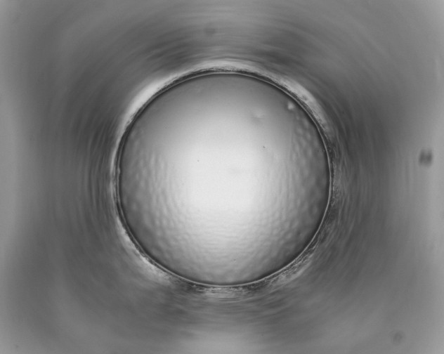 X0000089931199200707201833