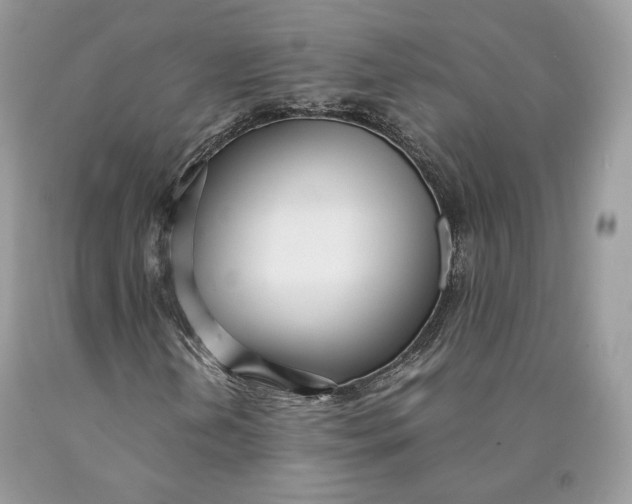 X0000089931202200707201832