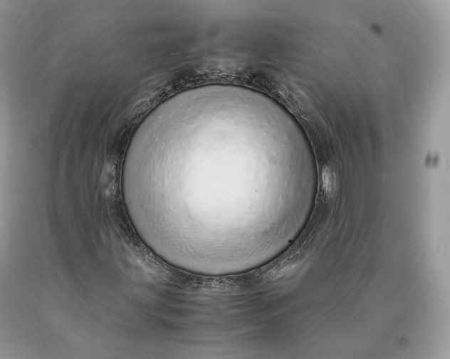 X0000089931203200707201832