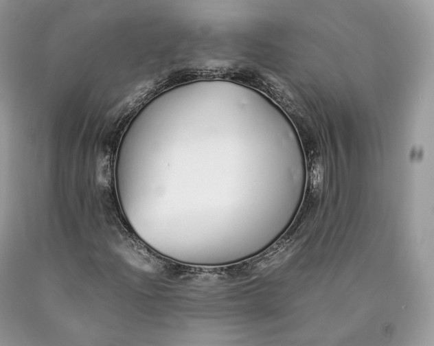 X0000089931204200707201832