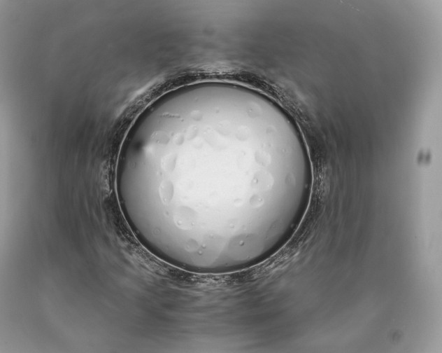 X0000089931205200707201832