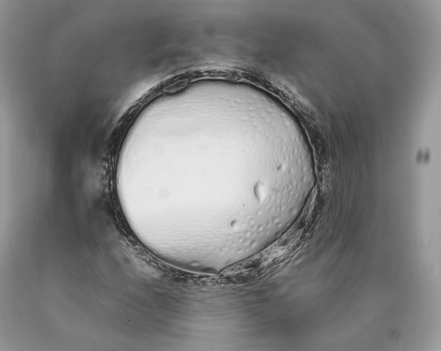 X0000089931208200707201833