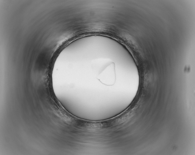 X0000089931210200707201833