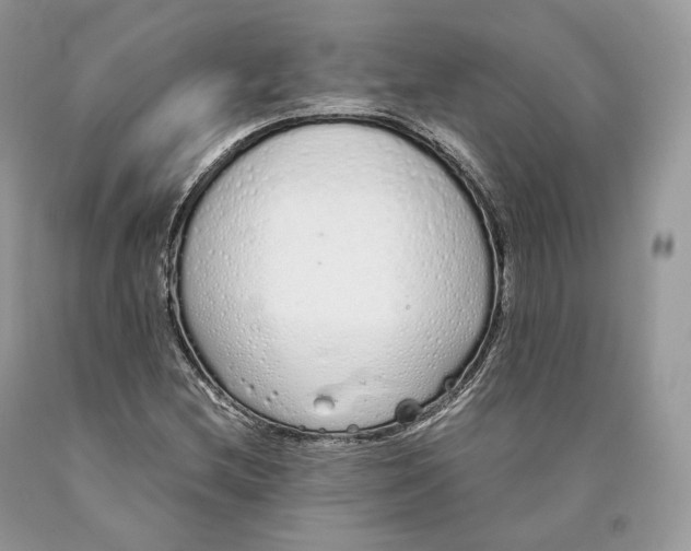 X0000089931212200707201833