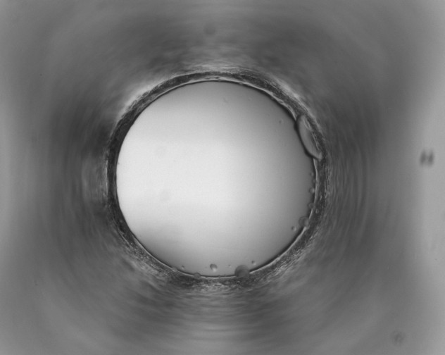 X0000089931214200707201833