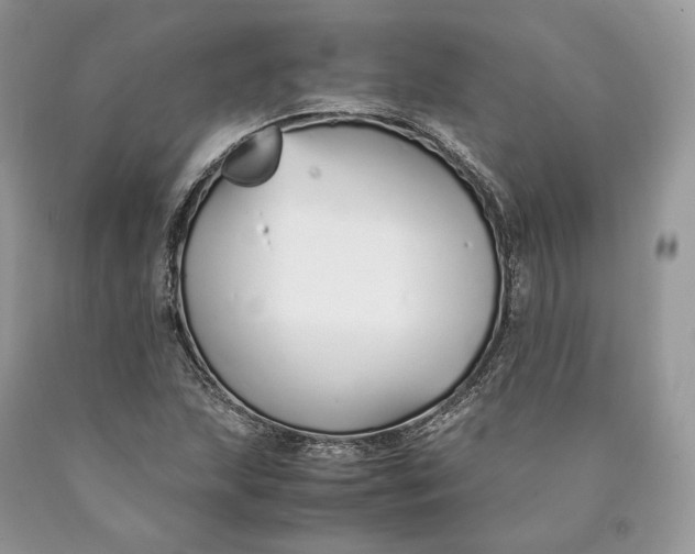 X0000089931215200707201833