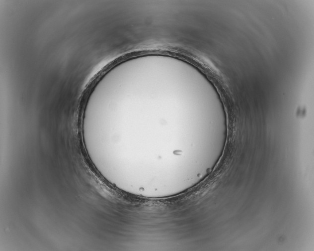 X0000089931216200707201833