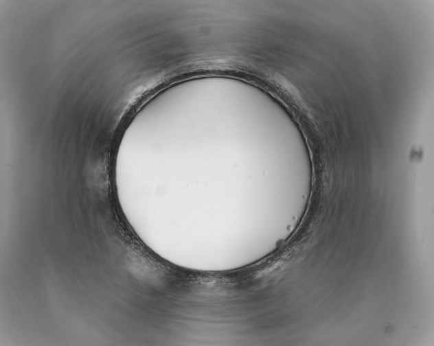 X0000089931218200707201833