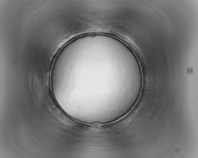 X0000089931220200707201833