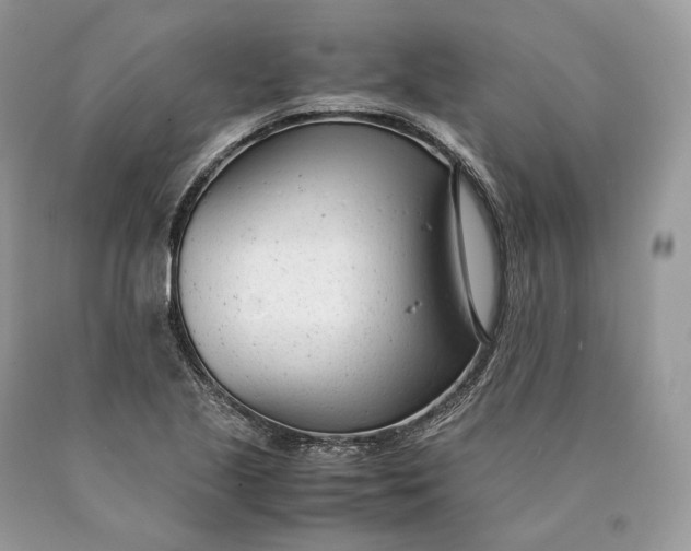 X0000089931221200707201833