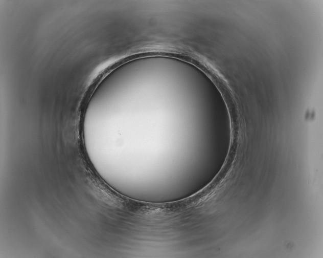 X0000089931222200707201833